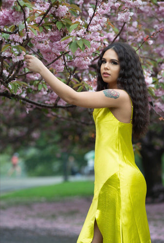 Lemon Lime Silk Dress